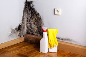 Best Commercial Mold Inspection  in Cleveland, GA